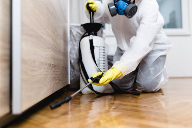 Best Insect Control  in Del Rey, CA