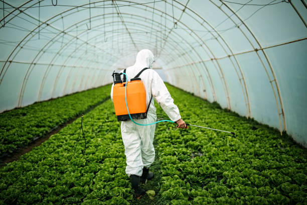 Best Pest Control Near Me in Del Rey, CA