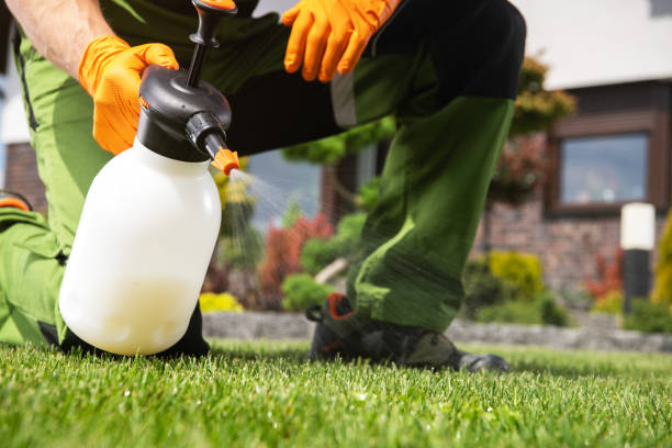 Best Pest Control Near Me in Del Rey, CA