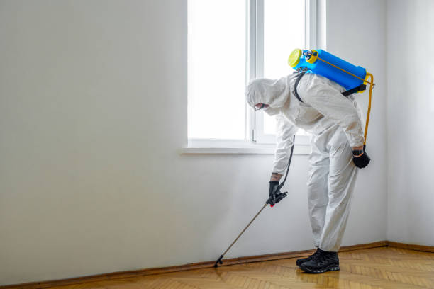 Best Pest Control Near Me in Del Rey, CA