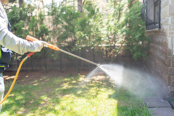 Best Affordable Pest Control Services  in Del Rey, CA