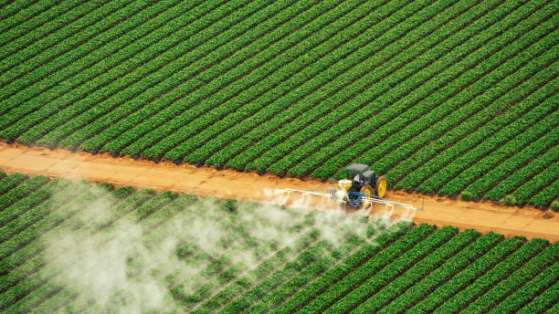 Best Mosquito Control Services  in Del Rey, CA