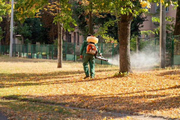 Best Mosquito Control Services  in Del Rey, CA