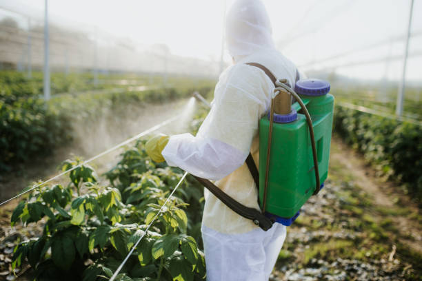 Best Commercial Pest Control Services  in Del Rey, CA